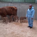 쌍둥이축산 이미지