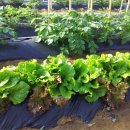 피카소어린이집 이미지