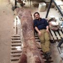 공룡목장 이미지