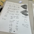 무안농장 | 무안 회산백련지 아이와 가볼만한곳｜동물농장 놀이터 장미정원까지
