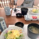 촌놈 | 창원 용호동 맛집 추천｜가로수길 스시 맛집 촌놈스시 솔직후기♥