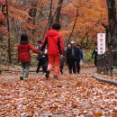 가을여행 이미지