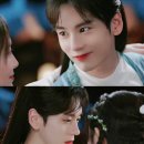 삼림영상 이미지