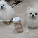 견생맛스토어 이미지