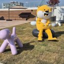 흥부전 조형물 | 대구도서관 개관+정유정 작가님 강연