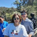 블루마운틴관광호텔 | 시드니 블루마운틴 현지투어 후기｜마이리얼트립으로 알뜰하게 다녀온 하루 일정