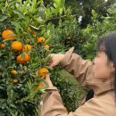 서광리-11 이미지