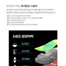 신미사 이미지