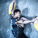 신성매니지먼트 이미지