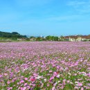 읍내로 7 이미지