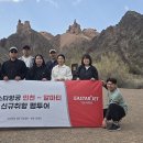 티엔엠투어