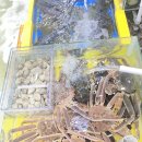 영재오토 | 가락시장 대방어 횟집 맛집 영재수산 겨울 제철 방어회