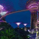 라이온씨티 이미지