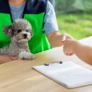 첨단사랑동물병원 이미지