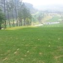 파가니카 C.C 이미지