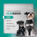 신반포동물병원 이미지