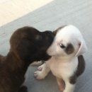 숙명여대 명재관 기숙사 입구 | 바이바이