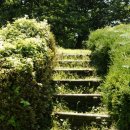 상주 조공제 이미지