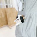 아이티즈 이미지