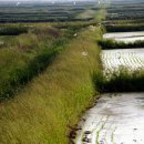 대호목장 이미지