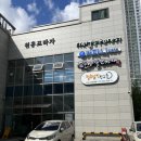 [털로덮인친구들 고양점] 원흥에 애견유치원 다니고 있는 댕댕이들을 보고 온 후기♬