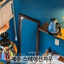 스테이선자우 이미지