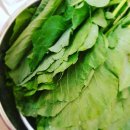 금반농장 이미지