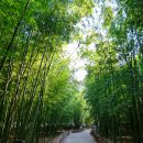 태화강 국가정원 코스 이미지