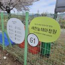 정원테크 | 밥테크의 대구 아이와 가볼만한곳: 세천늪테마파크 튤립 &amp; 벚꽃 실시간 후기 (강아지 동반 산책 &amp; 주차 팁)