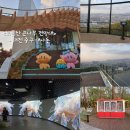 송학사 | [대전여행] 이번에 새로 개장한 <보문산 큰나무전망대> 다녀온 후기 | 얼마나 잘 되어 있을까?