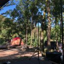 비슬산 숲속 오토캠핑장 이미지