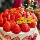 낫투스윗 이미지