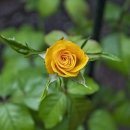 우리골프학교 이미지