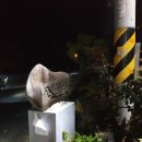 여흥4구 | 남남정맥 12차 덕천(솔티)고개 실봉산 화봉산 계리재