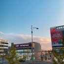 CATS&ME(캣츠 앤 미) 이미지