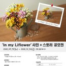 식물 이야기로 생활속에서 힐링 이미지