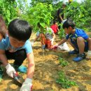 대구서부초등학교 이미지