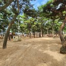 옹암해수욕장 이미지