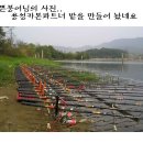 깡통카페 Daum카페