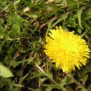 경희대성한의원 이미지