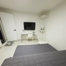 스테이써니 이미지