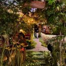 남산13길 14-1, (교현동) | 문을 여는 순간 세계관이 바뀌는 이색 카페 6곳 ☕️