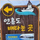 거금아일랜드펜션 이미지