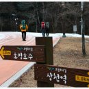 큰골사슴 이미지