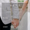 비바시너지