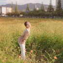 우정사진관 - 노원구 중계로19길 44 | 우정사진관