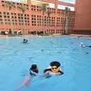 부영칼국수 이미지