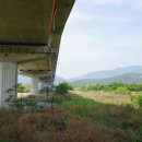 선산대로-33 이미지