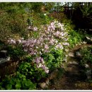 야생화펜션 이미지