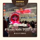 K-1 PC방 김해4호점 | Stray Kids World Tour <dominATE : celebrATE> 인천 아시아드 주경기장 관람 후기 &amp; 근처 숙소 추천 🎤✨